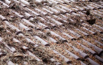 Beith roof cleaning companies